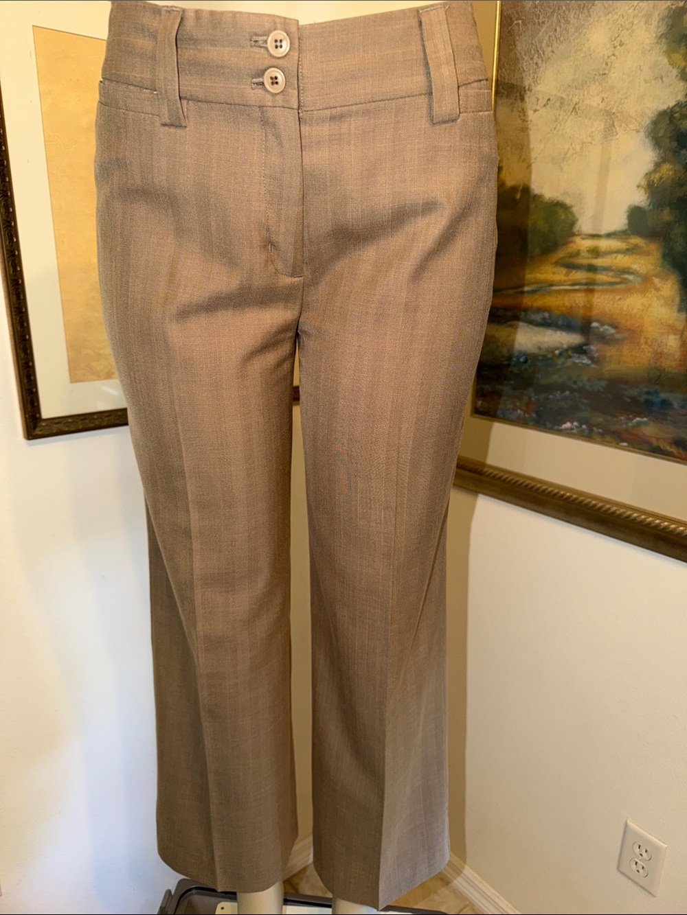 BOGARI Tailored Silk Blend Striped Dress Pants in Brown/Taupe Size 4